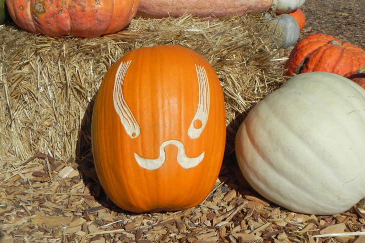 Pumpkin Carving Idea Lashes